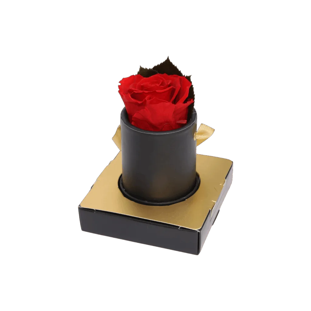 Wieczna róża w czarnym pudełku flowerbox  -  Giftoria - zestawy prezentowe 2