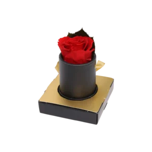 Wieczna róża w&nbsp;czarnym pudełku flowerbox  -  Giftoria - zestawy prezentowe