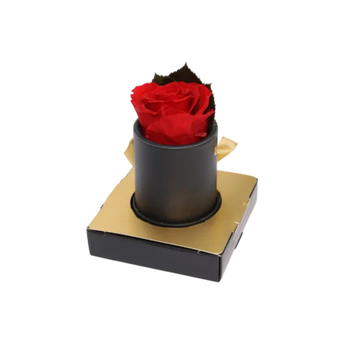 Wieczna róża w&nbsp;czarnym pudełku flowerbox  -  Giftoria - zestawy prezentowe