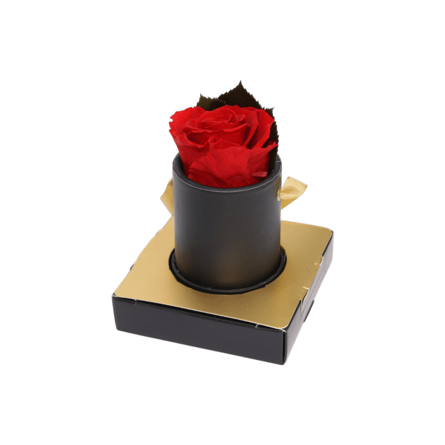 Wieczna róża w czarnym pudełku flowerbox  -  Giftoria - zestawy prezentowe